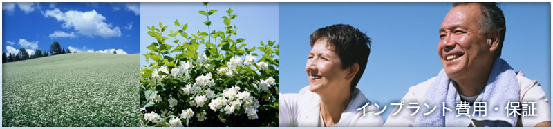 �C���v�����g��p�E�ۏ�