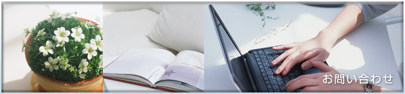 �C���v�����g���₢���킹