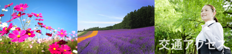 ��ʃA�N�Z�X